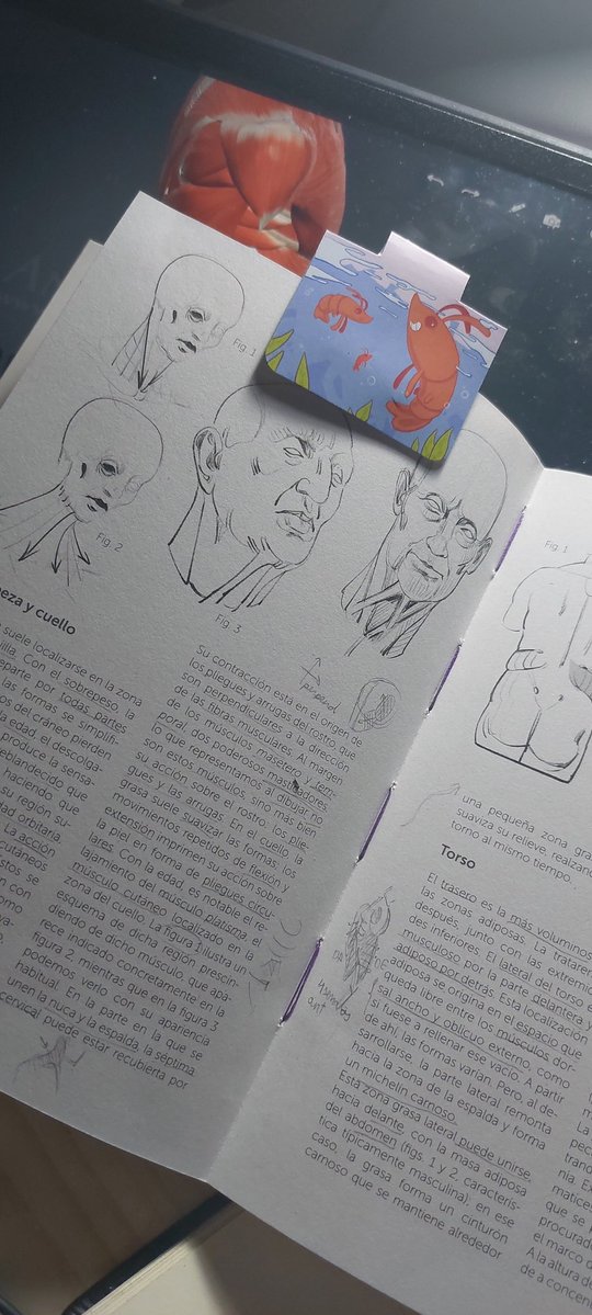 🔞//Say tweet media