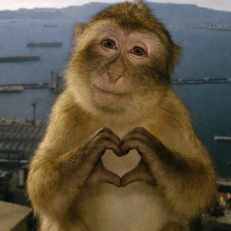 Jhony Oliveira tweet media