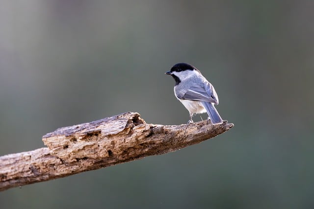 Krystal Durham tweet media