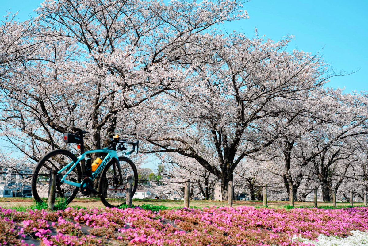 じゅん tweet media