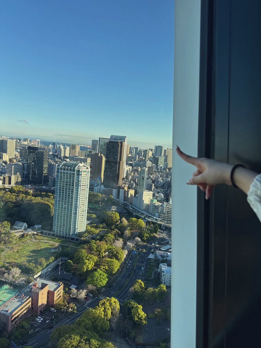 山本るしあ(MORE STAR) tweet media