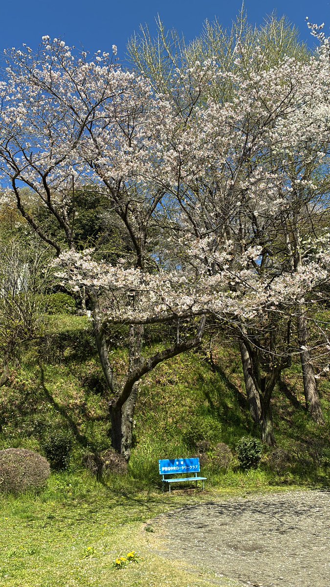 ボ沢セバスチャンa.k.a.そざわーるど tweet media