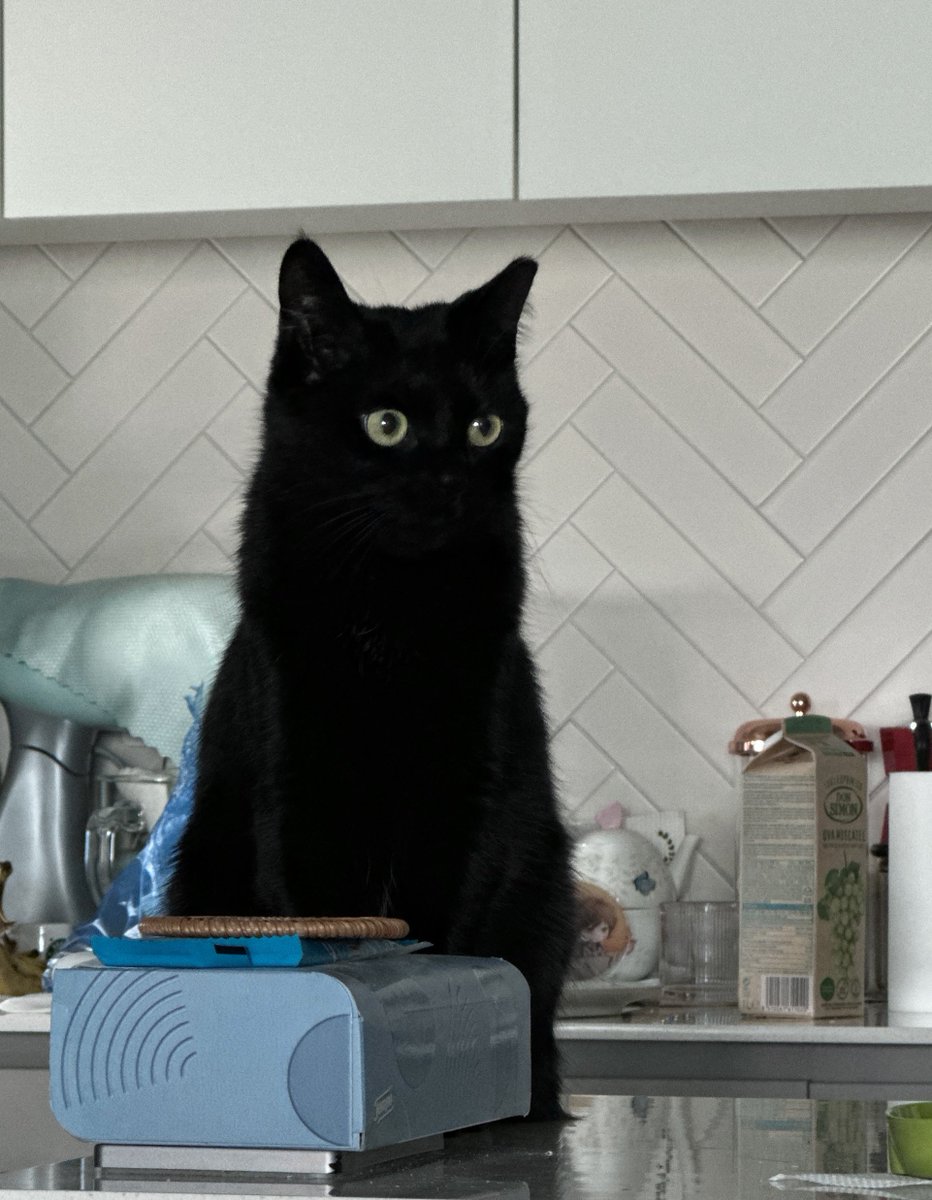 Mika 미카 🩵 tweet media