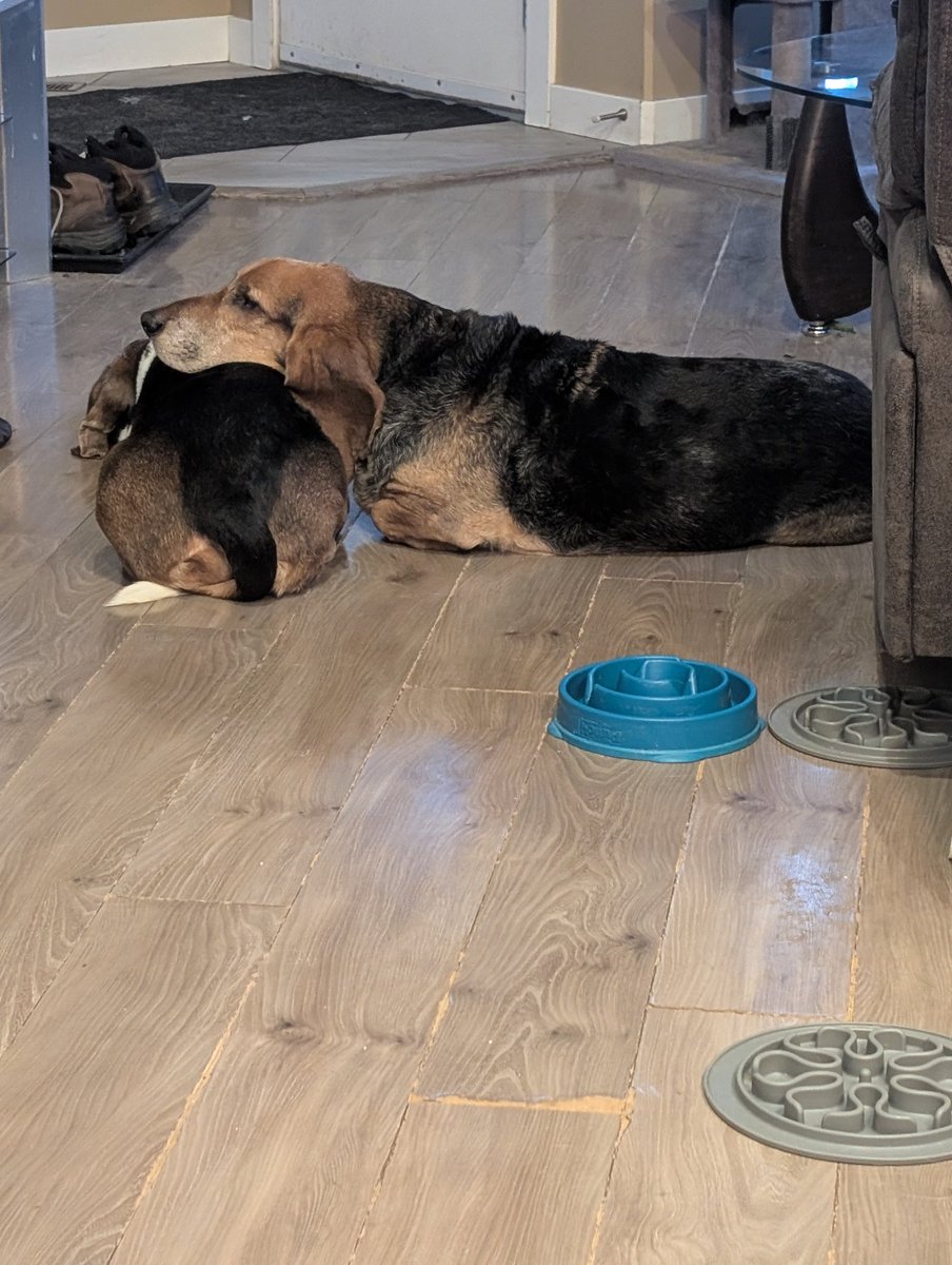 Shaughn.SGT(ret) tweet media