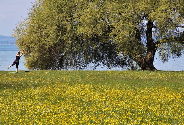 Lauren Larson tweet media