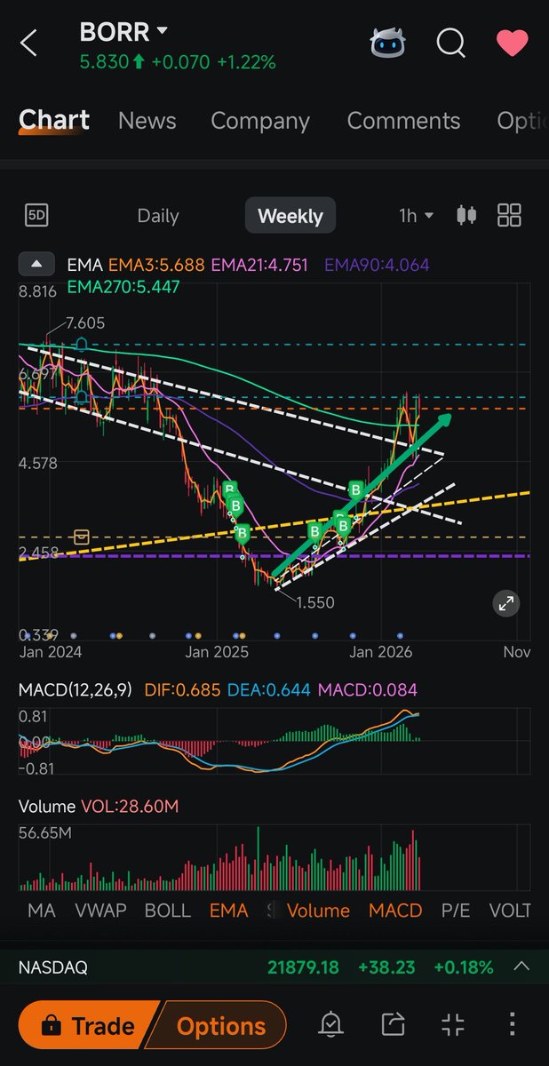 NowIsTheTrade tweet media