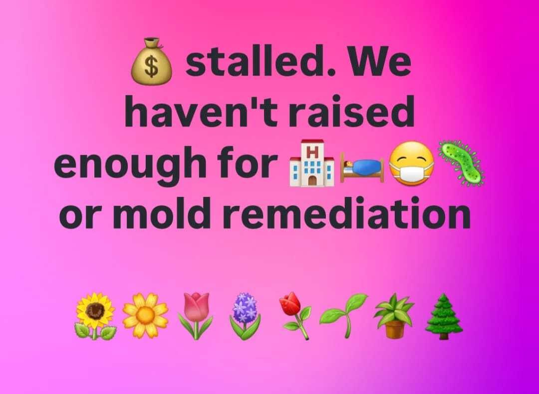 Save Liz Nevra tweet media