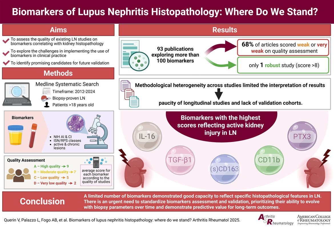 alb_giraldo's tweet image. A systematic review critically evaluated existing research on noninvasive #biomarkers for #lupus #nephritis (LN) that correlate with kidney biopsy histopathology. Despiste high methodologic heterogeneity (93 articles examined &amp;gt;100 biomarkers) and poor study quality (68% of
