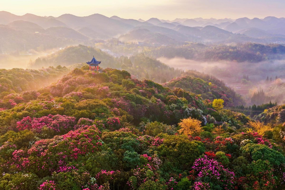 FlyOverChina tweet media