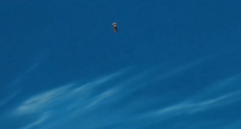 FORTNION🦈 tweet media