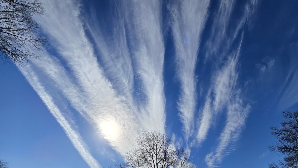 Hugo Boss tweet media