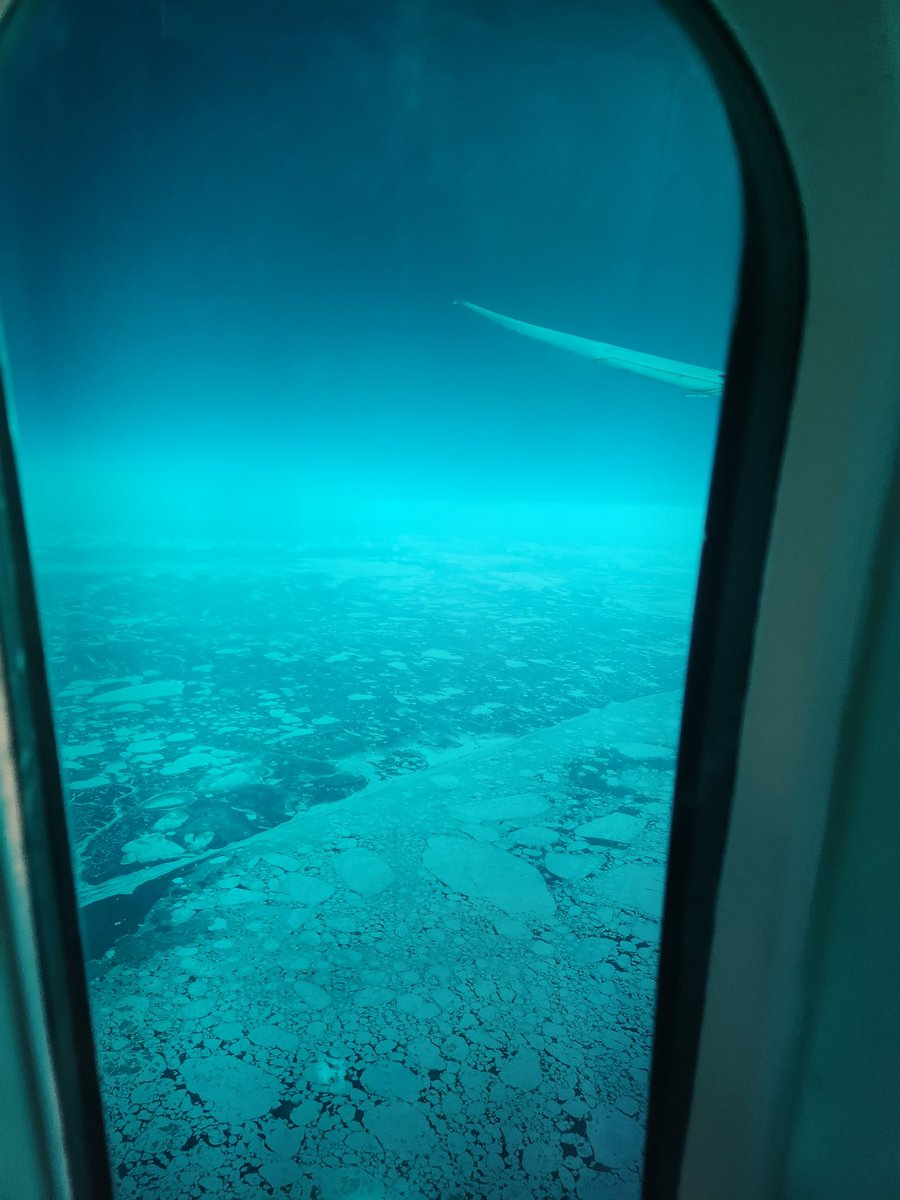 マサト🗽🇺🇸 tweet media