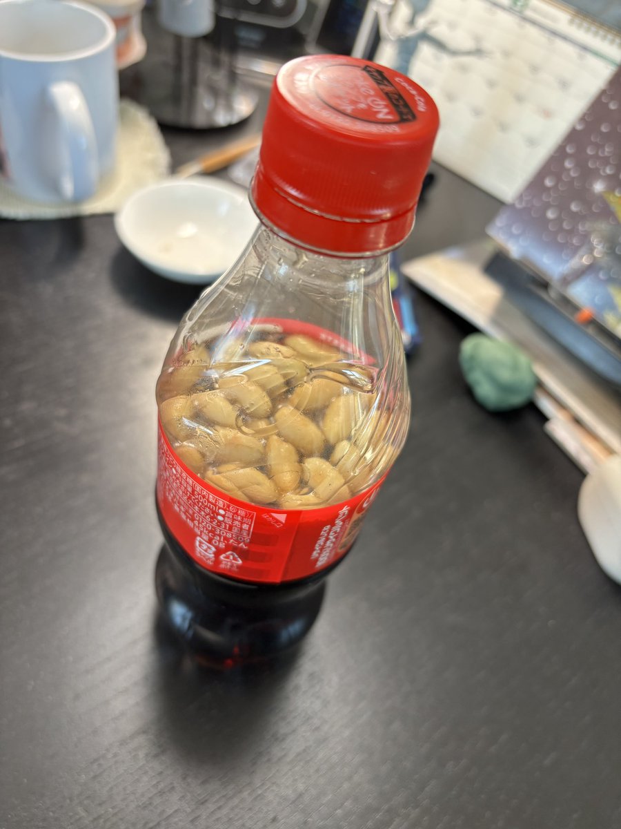 加藤旅人 tweet media