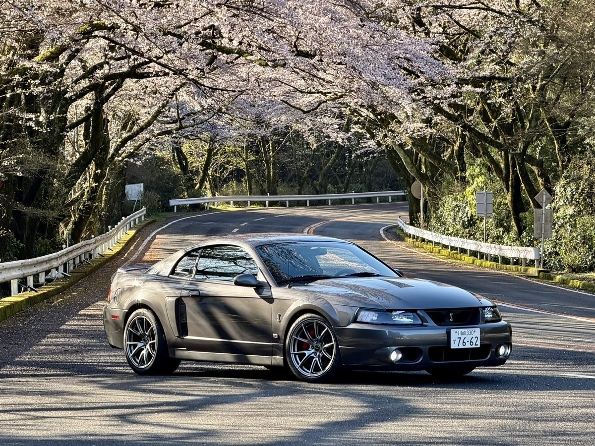 u1cobra2's tweet photo. 31日に雨降られたんでリベンジ
iPhoneの望遠ショットがダメダメで、ミラーレスでも撮っておけばよかったと後悔... https://t.co/qIIHIKiQSD