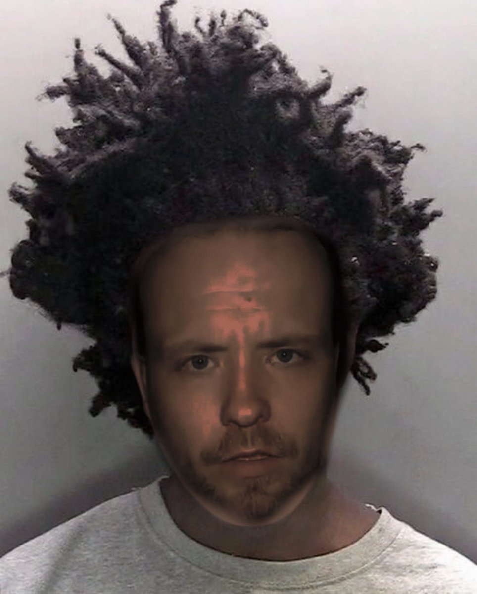 esoteric lion tweet media