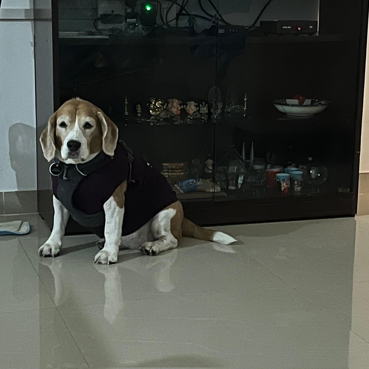 rpramodhkumar tweet media