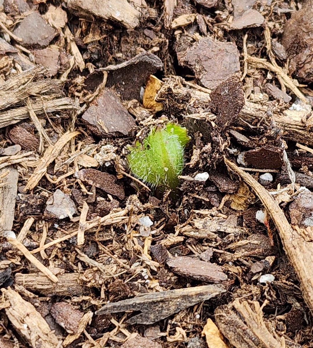 Jenn Romano 🌻 tweet media