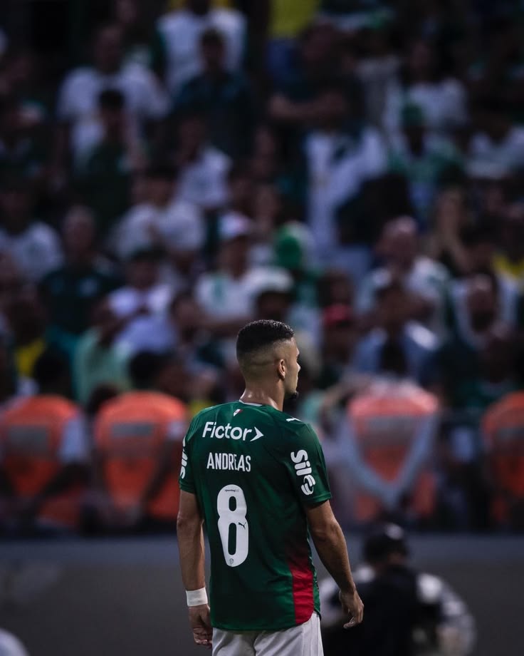 Olé do Palmeiras tweet media
