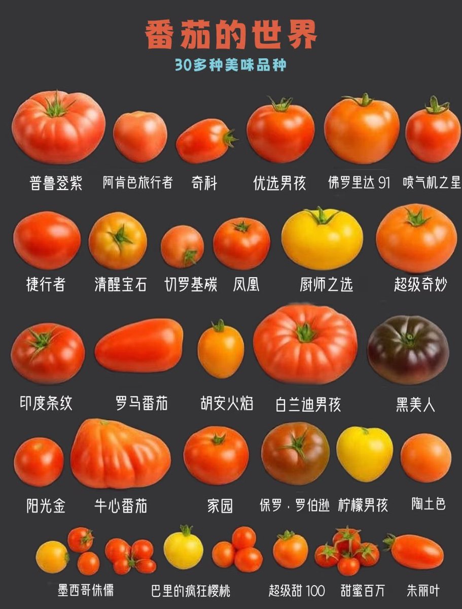 Overseas纵横四海 tweet media