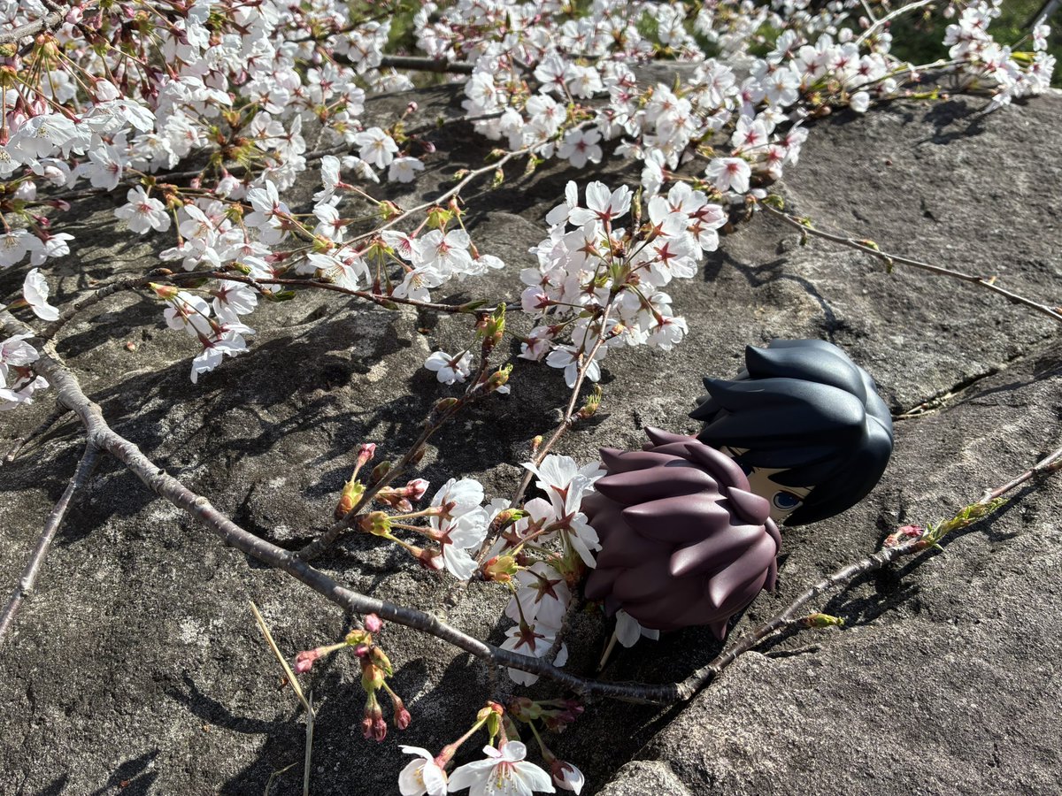 れい(`・ワ・) tweet media