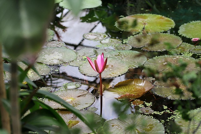 Charles Bosworth tweet media