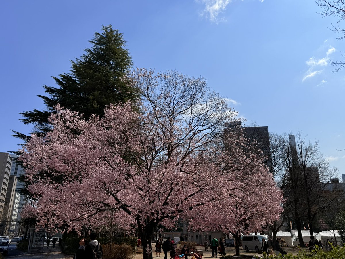 篠𠩤正@気象キャスター tweet media