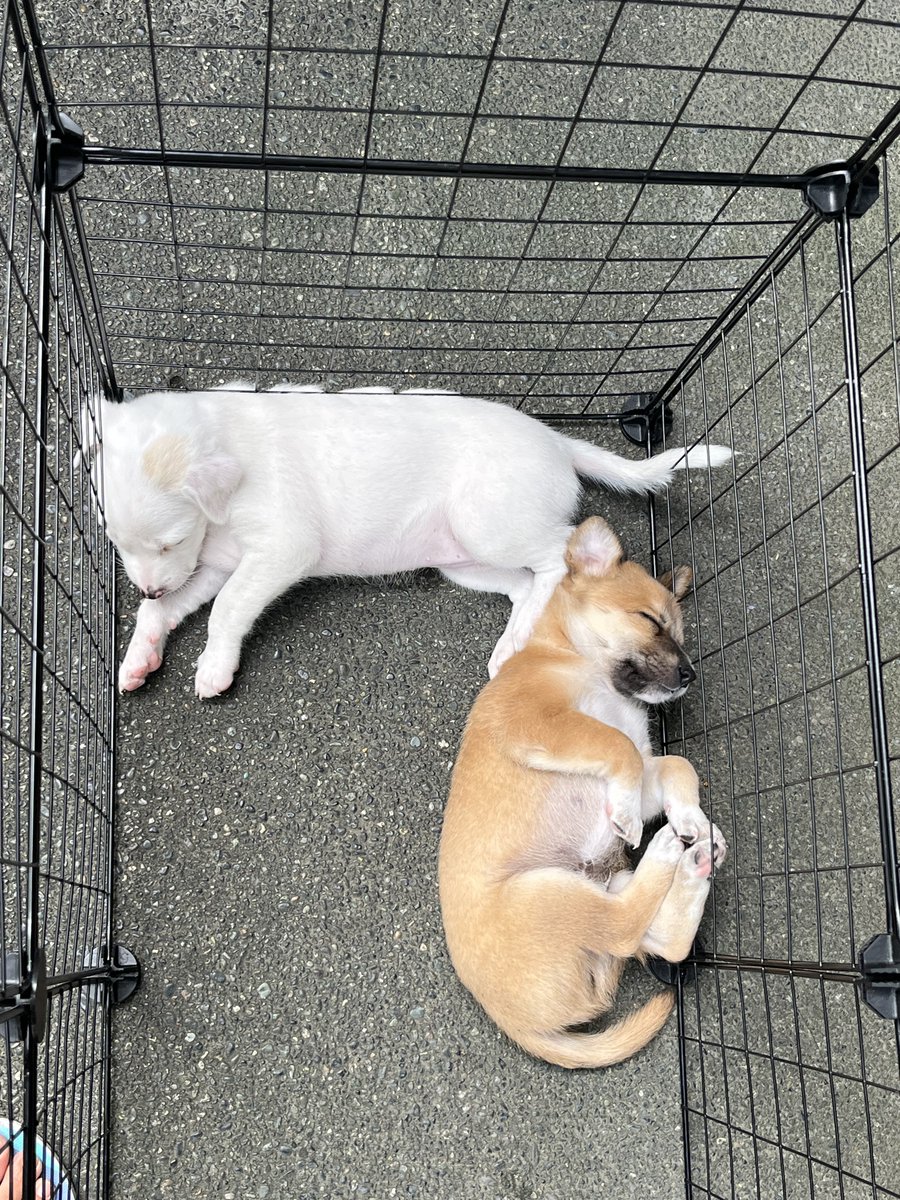 toni ☀️ comms open tweet media