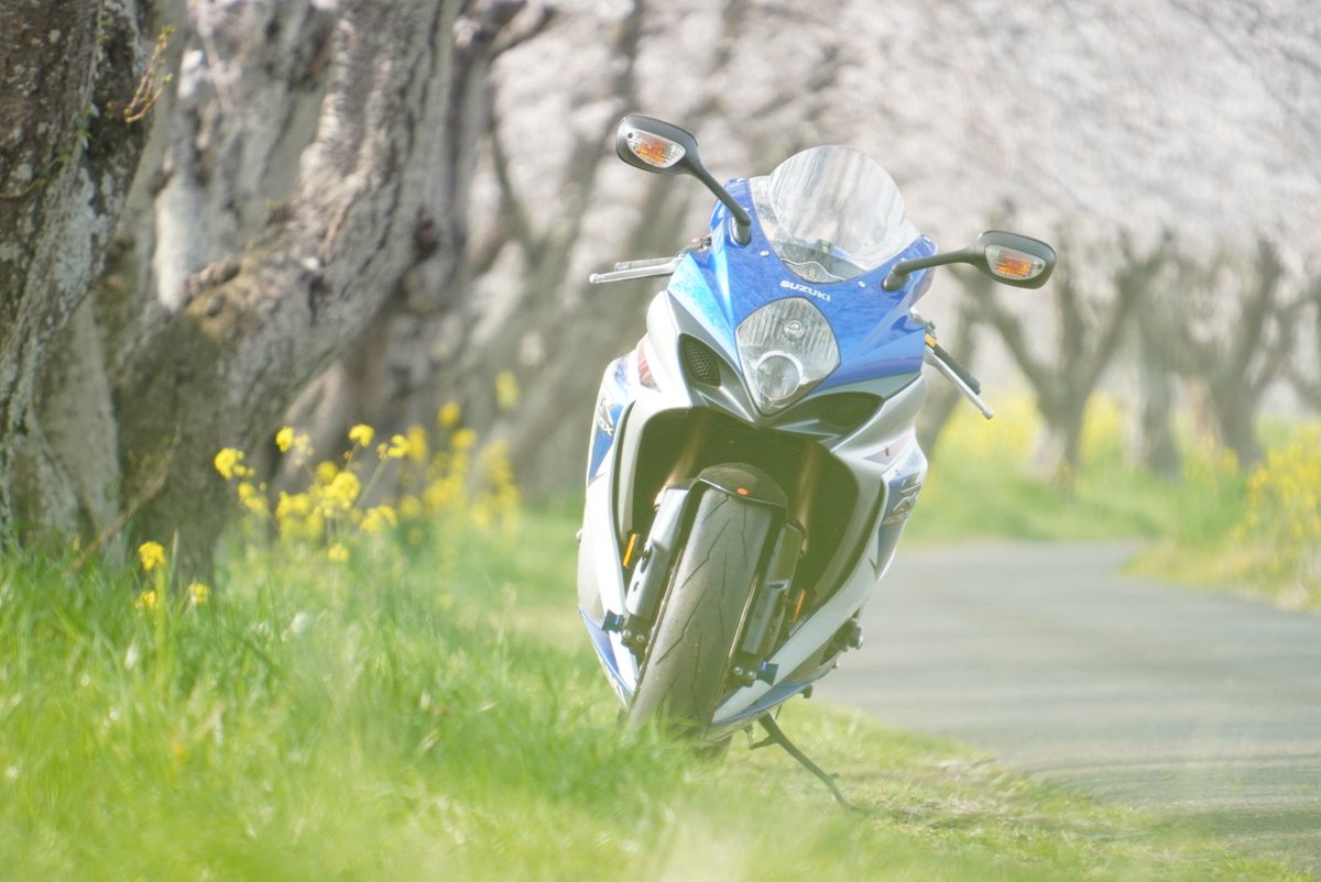 ぼんず tweet media