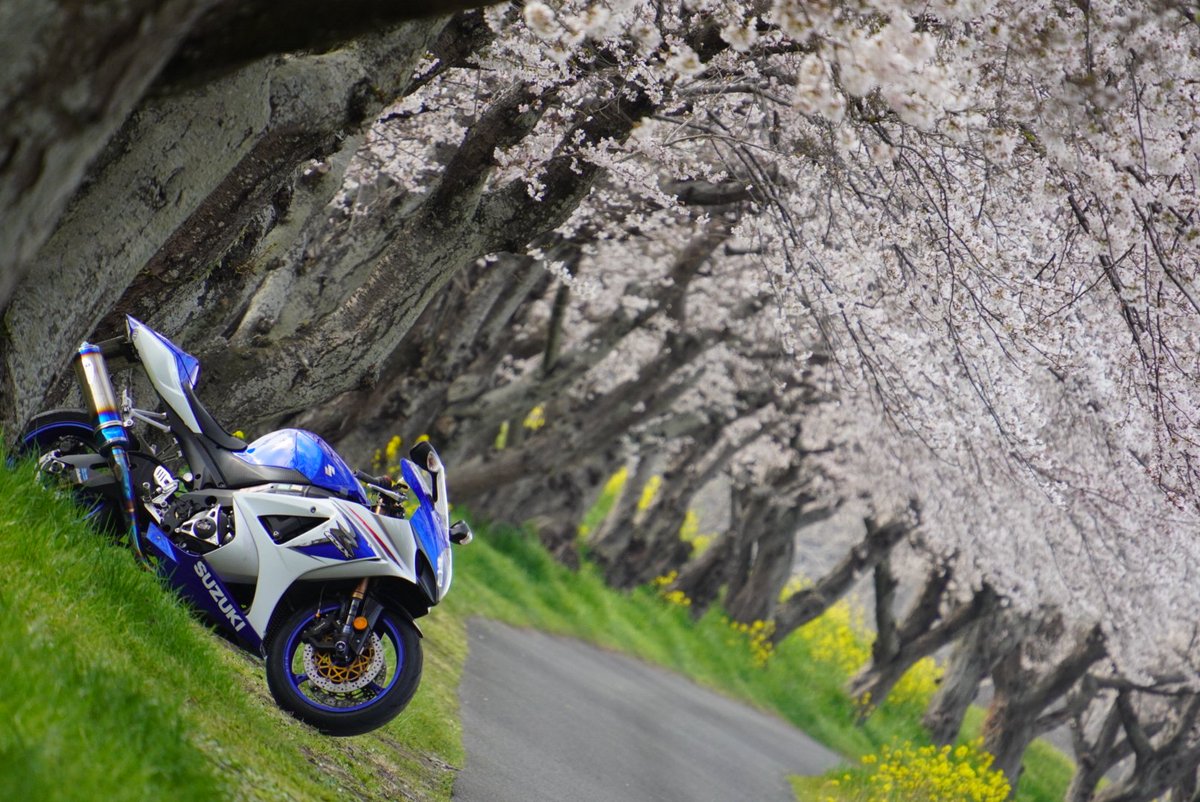 ぼんず tweet media