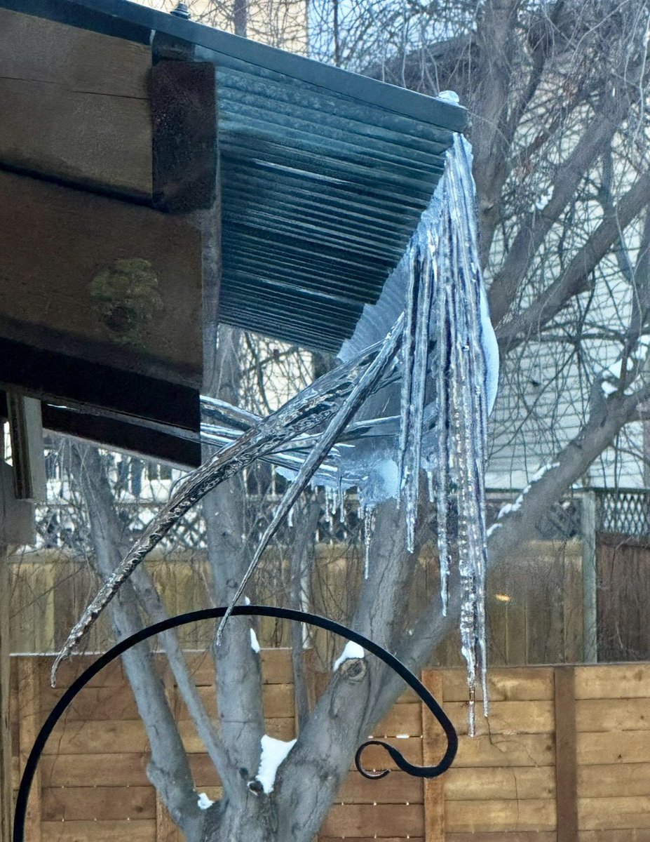 Mitchell Graf tweet media