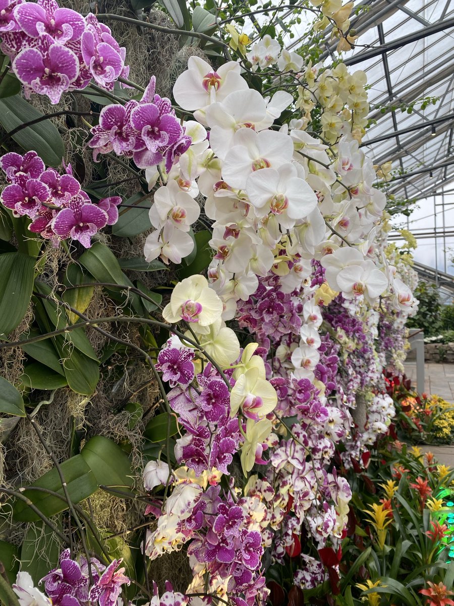 Jdavis_Halton's tweet image. Thank you ⁦@RBGCanada⁩ for a wonderful (and colourful) afternoon reliving my childhood with a walk along your yellow brick road. #RBG #BloomlandInOz #Ontario 🇨🇦