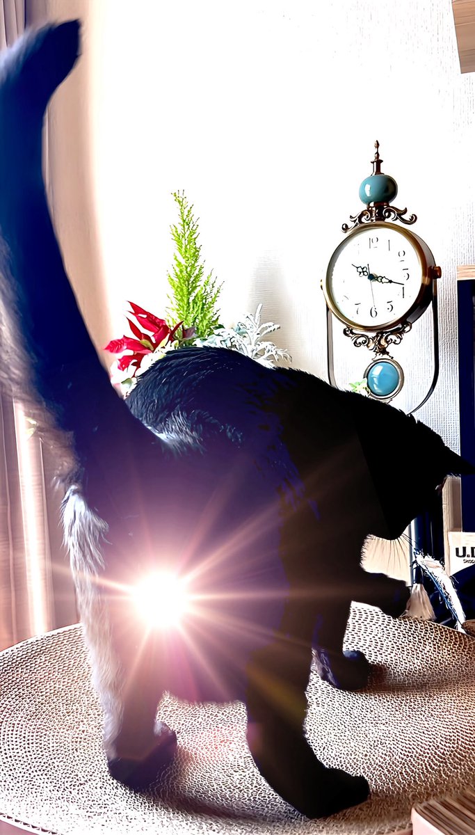 りっこ tweet media