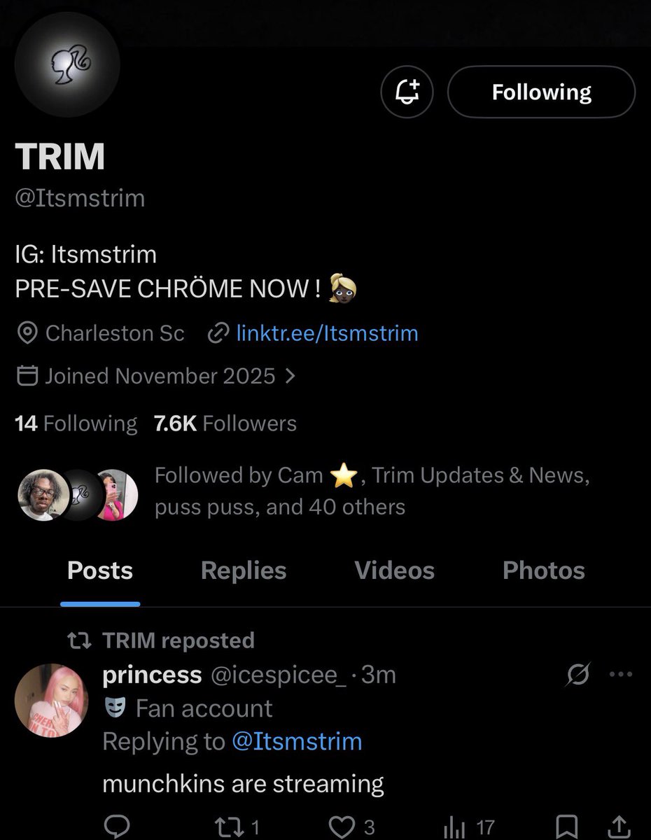 princess tweet media