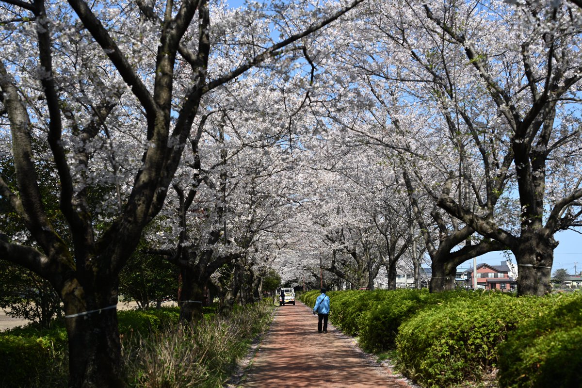 北本市@note始めました tweet media