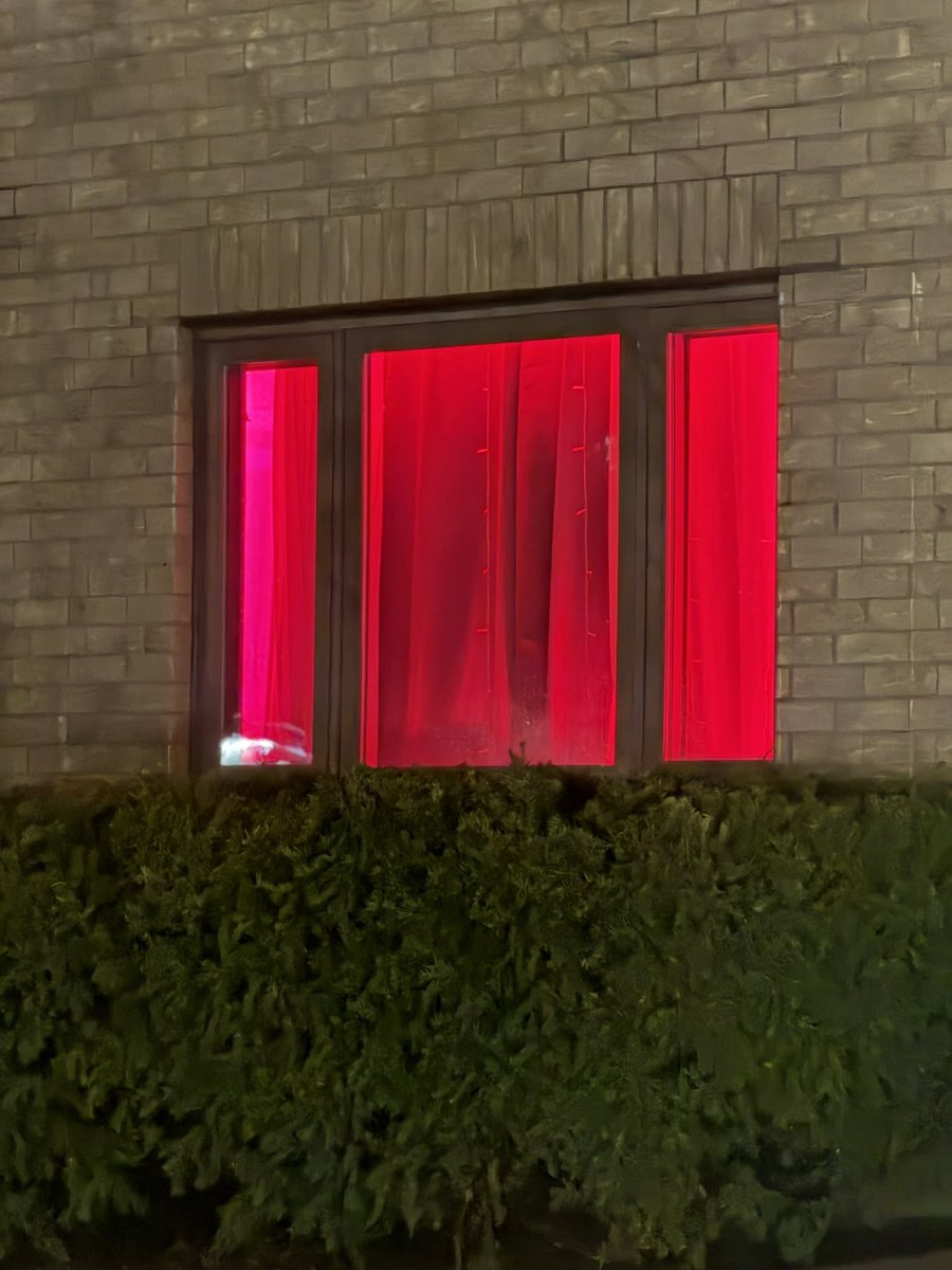 𝒞𝒪𝒮𝑀𝐼𝒞 𝐵𝑅𝒜𝒯 ☾⋆⁺₊✧ tweet media