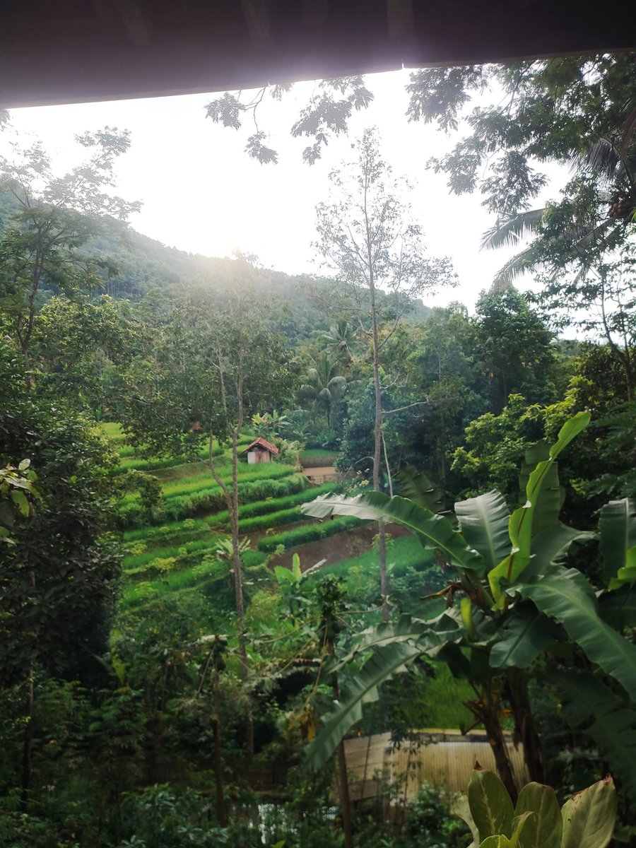 #PerluDilindungi tweet media