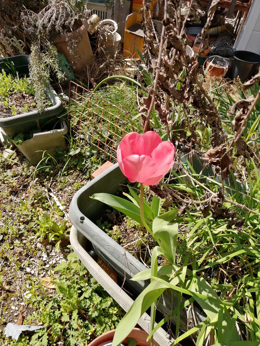 森啓一朗 tweet media