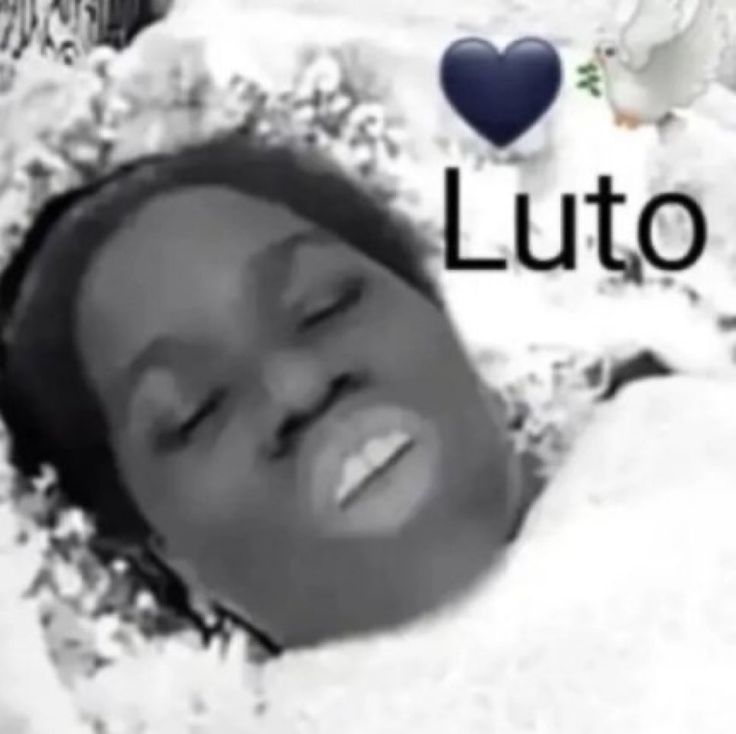 lauzie⁷ 🪭 tweet media