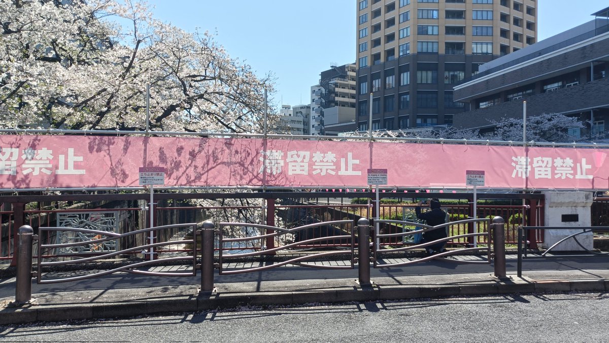 はかせ tweet media