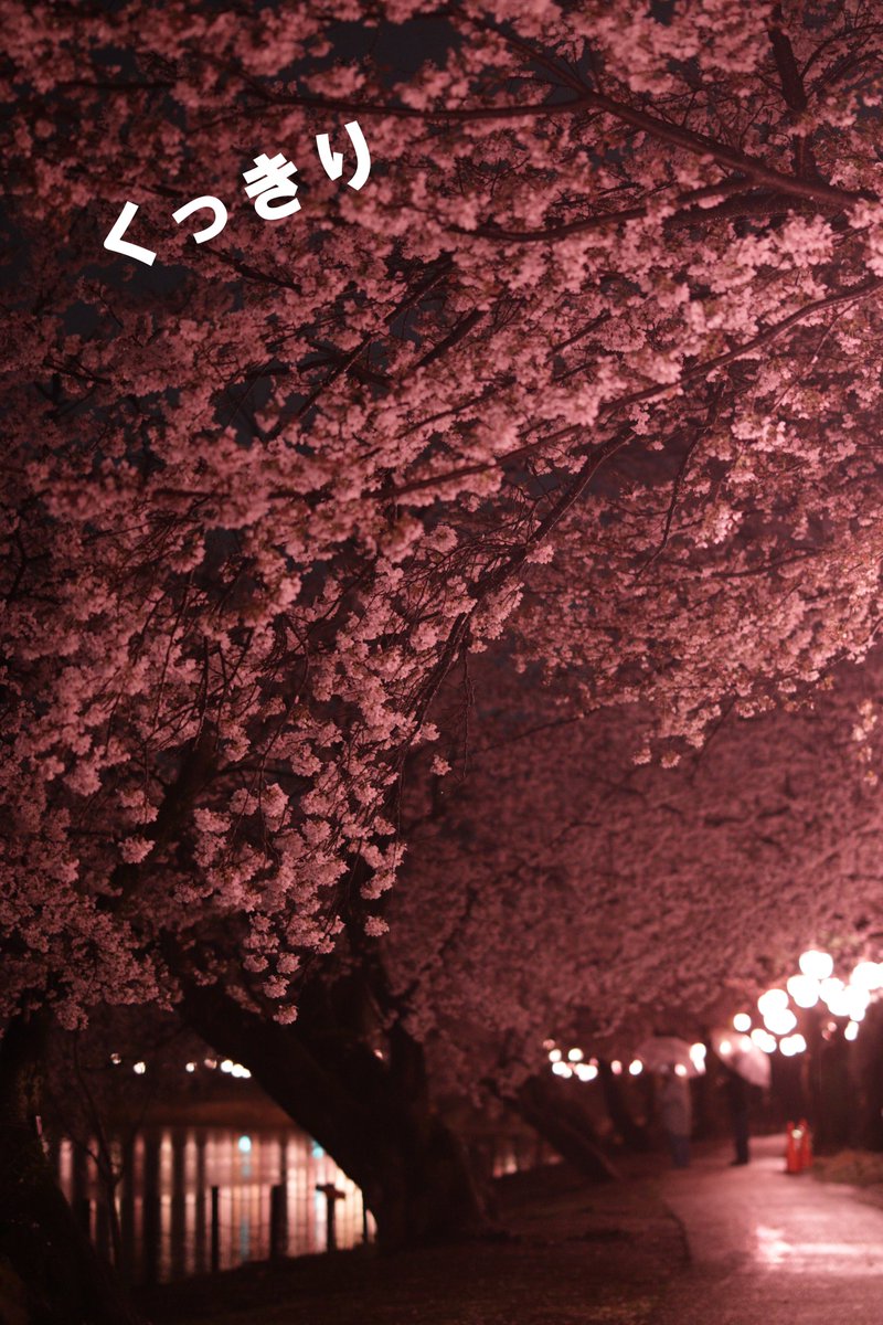 ケンコー・トキナー【公式】オンラインショップ＆直営店情報 tweet media