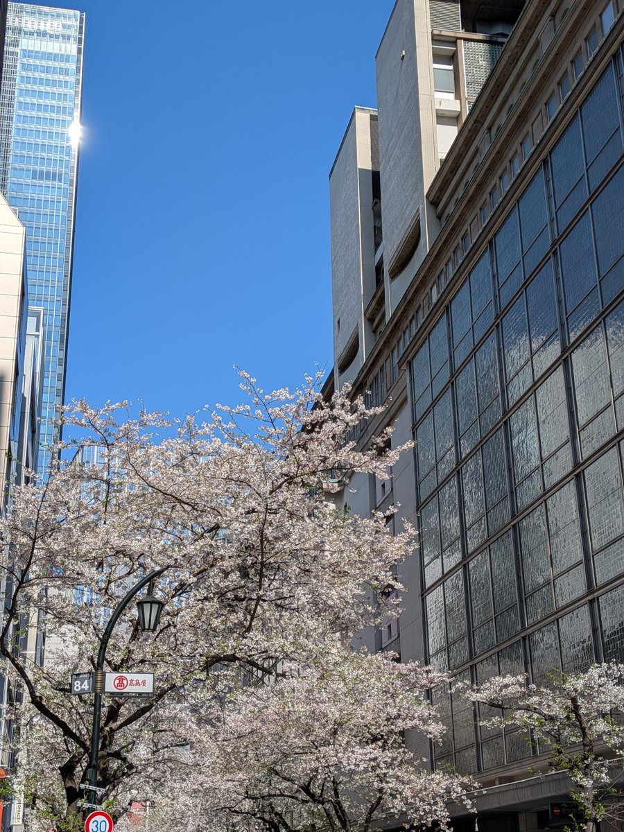 古舘製麺所 tweet media