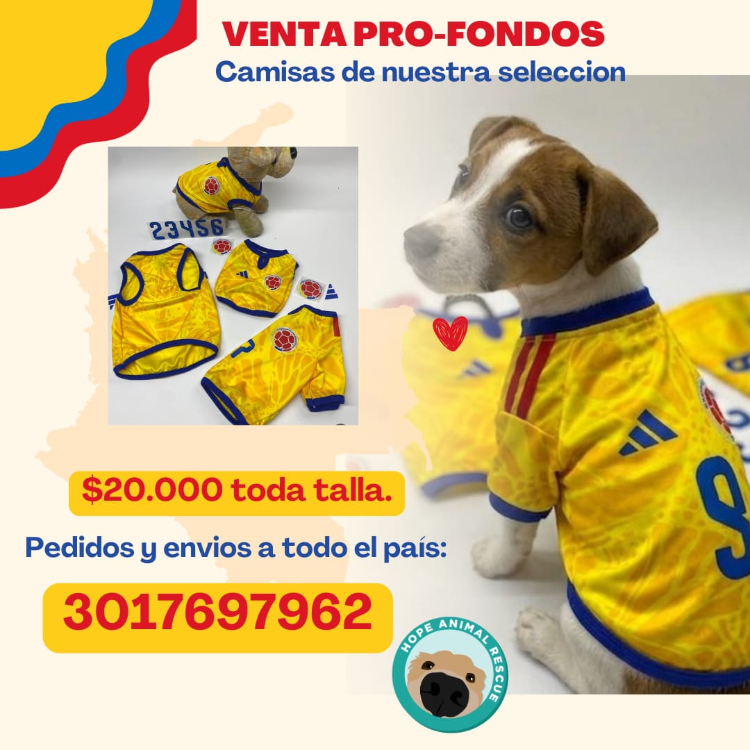 Fundación Hope Animal tweet media