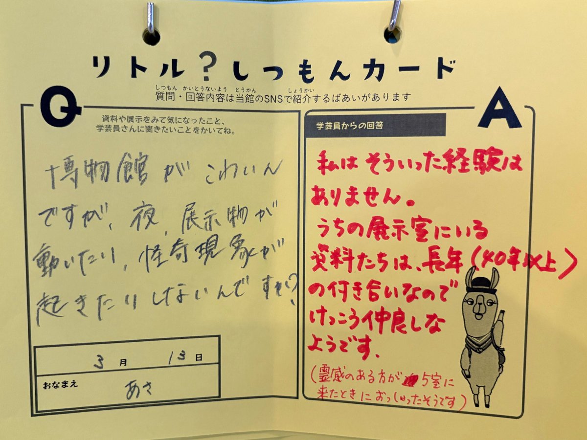 Q.「夜、展示物が動いたり、怪奇現象が起きたりしないんですか？」

今年で開館43年目となるリトルワールド。
開館時からずっと一緒にいる資料たちはどうやら仲良しのようです👀
そんな風に思って見学したら、博物館がこわくなくなるかも…！？
