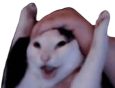 Bel❄️ tweet media