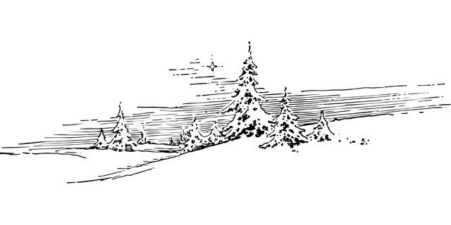 Elisa Fernandez tweet media