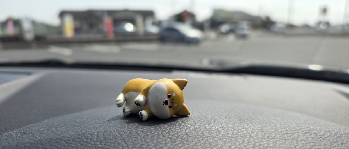 うんぽんぽる tweet media