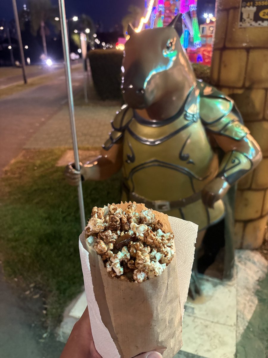 カピゴン松島【南米カピバラ探検家】ビバ南米 tweet media