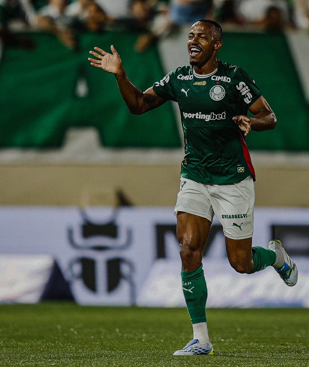 picmeiras tweet media