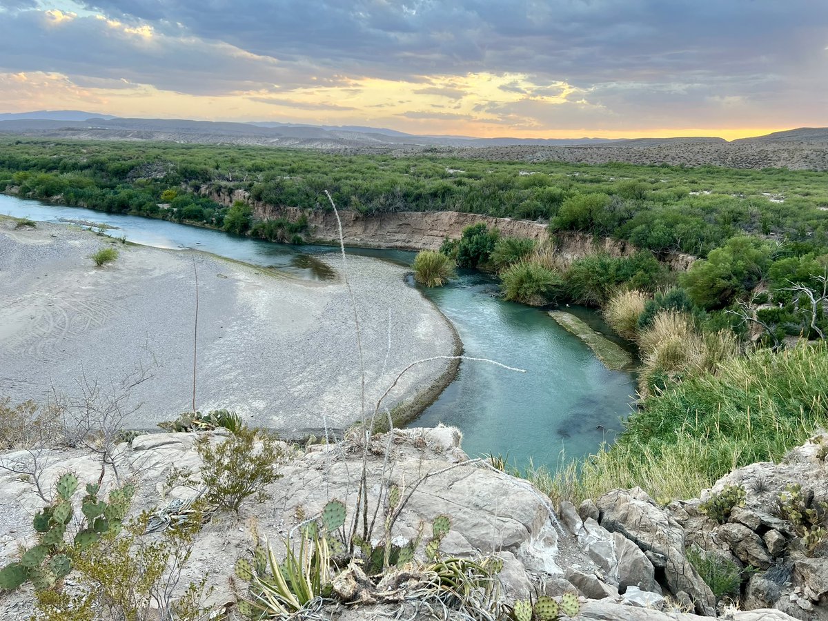 Laiken Jordahl tweet media