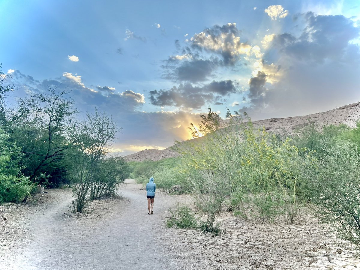 Laiken Jordahl tweet media